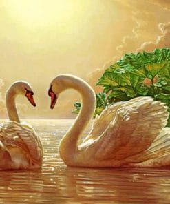 Swans On Lake paint by numbers