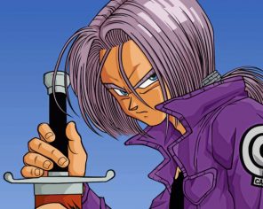 Trunks Dragon Ball paint by numbers