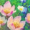 Lotus Flowers Paint By Numbers