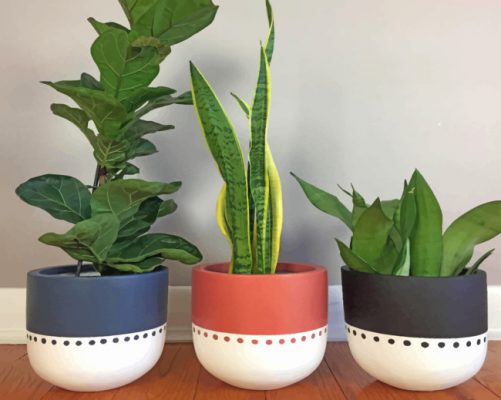bohemian plant pots paint by numbers
