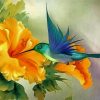 hummingbird and yellow flower paint by number