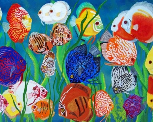 Aquarium Fishes In Sea paint by number