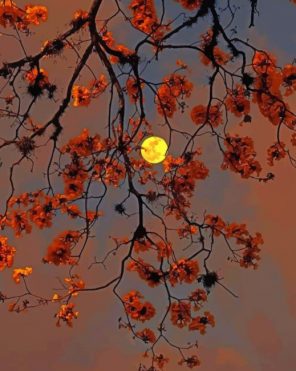 Autumn Tree Moon paint by number