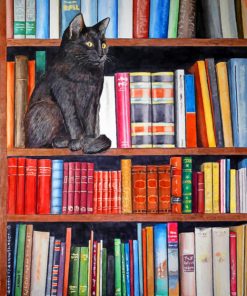 Cat On bookshelf paint by numbers