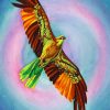 Colorful Hawk Bird paint by numbers