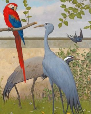 Cranes And Macaw paint by numbers