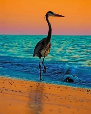 Heron Bird At The Beach paint by numbers