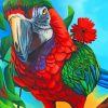 Macaw Bird paint by number