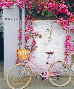 Pink Bike With Flowers paint by number