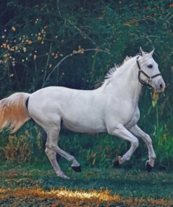 Running White Horse paint by numbers