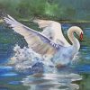Swan Bird paint by numbers