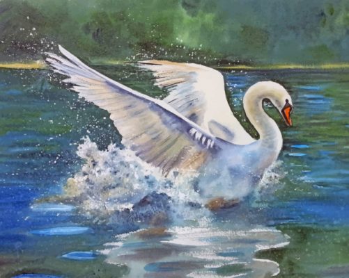 Swan Bird Paint By Numbers - Numeral Paint Kit