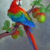 Apples And Parrot Paint By Numbers