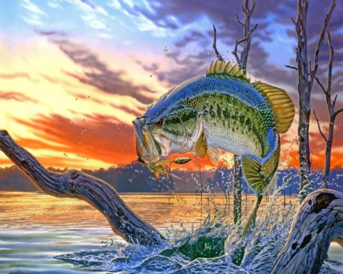 bass fish paint by numbers
