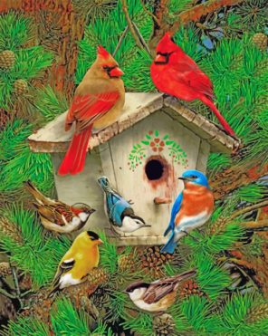 Bird House paint by numbers