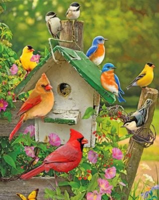 Aesthetic Birds paint by numbers