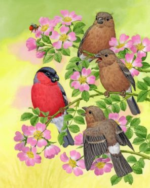 Brown Birds And Bullfinch paint by numbers