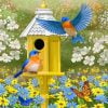 Colorful Garden Bluebirds And Birdhouse Paint by numbers
