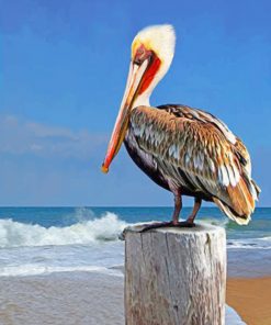 Pelican Bird paint by numbers