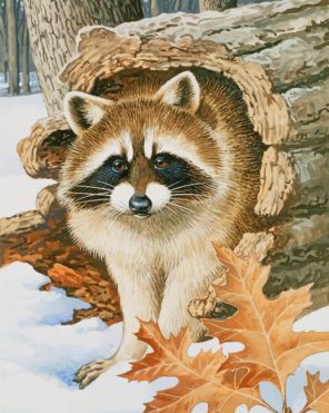 raccoon-paint-by-numbers
