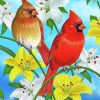 Cardinals Birds paint by numbers