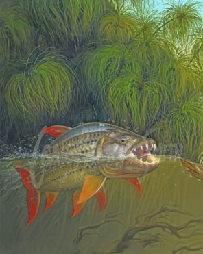 tigerfish In Water paint by numbers