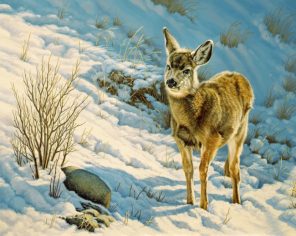 winter fawn mule deer paint by numbers