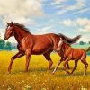 Horses In Meadow Paint by numbers