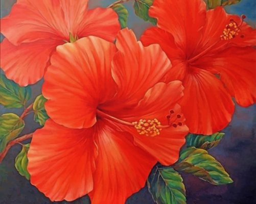 Red Hibiscus paint by numbers