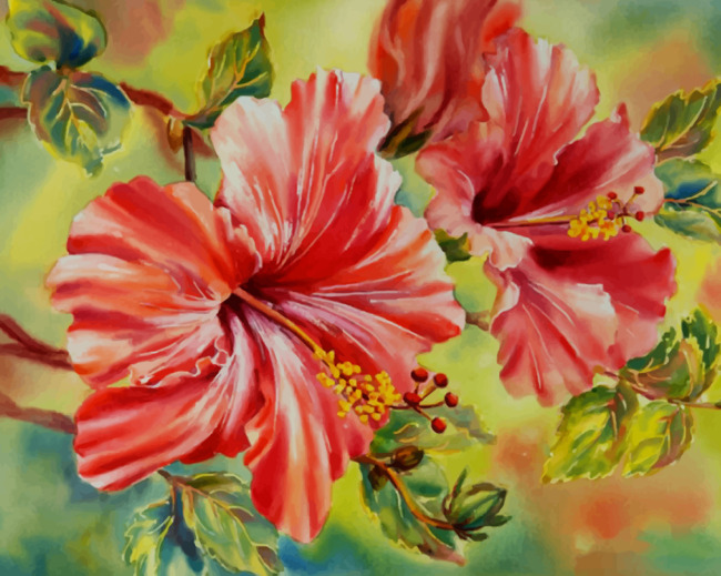 Red White Hibiscus - Paint By Number - Numeral Paint