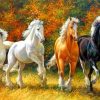 Running Horses Paint by numbers