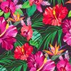 Tropical Plants And Flowers Paint by numbers