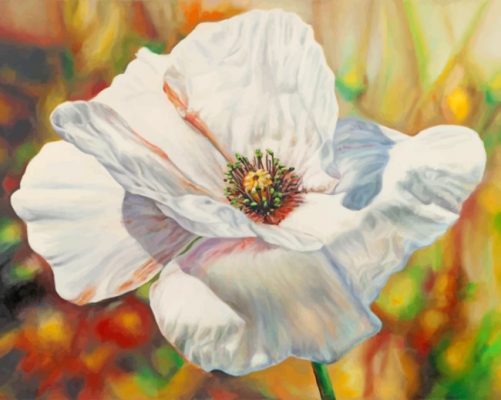 White poppy anemone paint by numbers