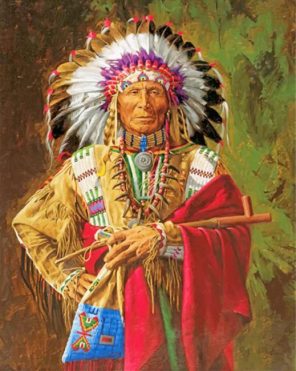 Cherokee Chief Native American Paint by numbers
