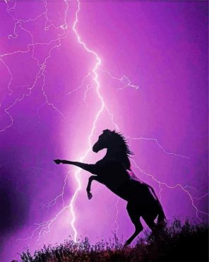 Horse Lightning Paint by numbers