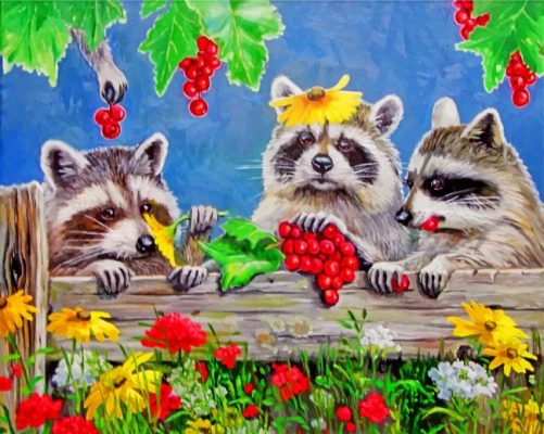 raccoons-animals-paint-by-number