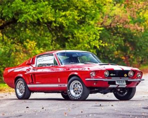 Red Ford GT 500 Paint By Numbers - Numeral Paint Kit