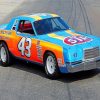 richard-petty-race-car-paint-by-numbers