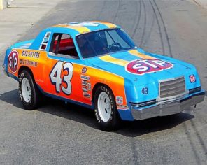 richard-petty-race-car-paint-by-numbers