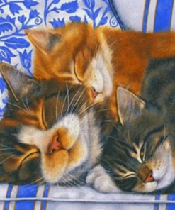 sleepy-cats-paint-by-numbers