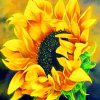 Blooming Sunflower Paint by numbers