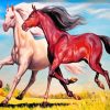 Brown And White Horses Paint by numbers