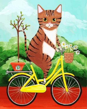 Cat On Bicycle Paint by numbers
