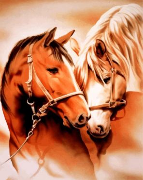 Horse Couple Paint by numbers