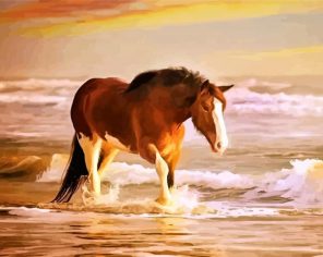 Horse In Sea Paint by numbers