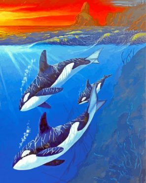 Killer Whale Underwater Paint by numbers