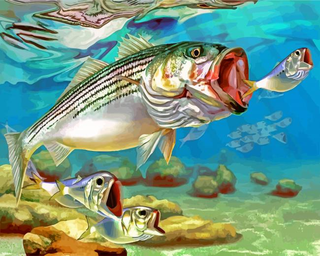 Striper Fish Underwater Paint By Numbers - Numeral Paint Kit