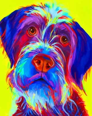 Wirehaired Pointing Griffon Dog Paint by numbers