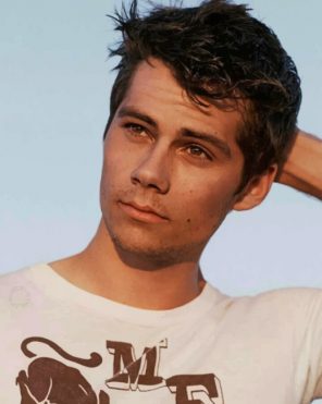 handsome-dylan-o-brien-paint-by-numbers