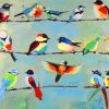 Birds On Wire Paint by numbers